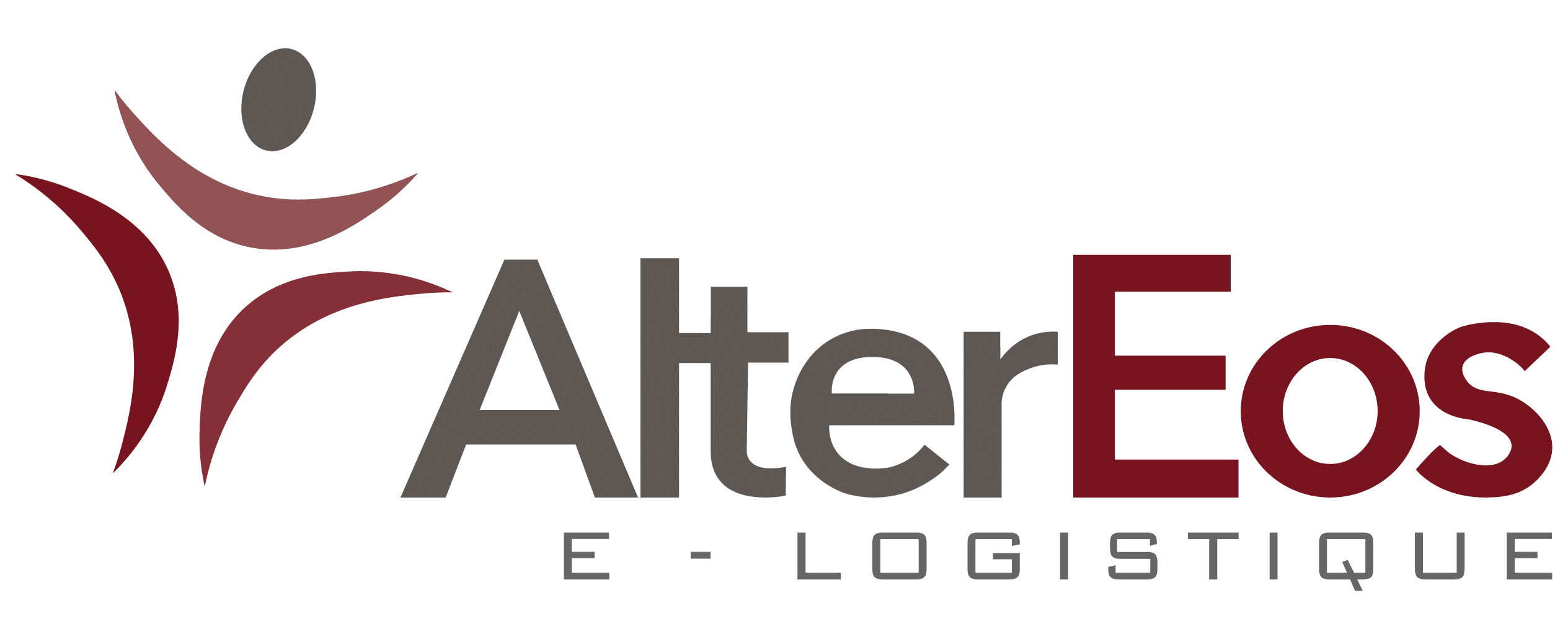 Offre 5: AlterEos e-logistique